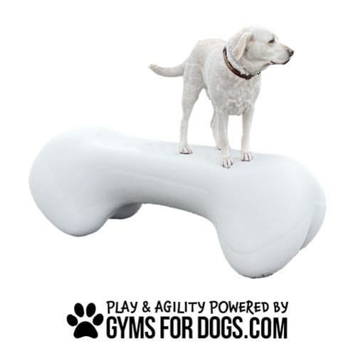 CAD Drawings BIM Models Gyms For Dogs Agility Bone