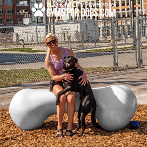 CAD Drawings BIM Models Gyms For Dogs Agility Bone