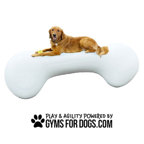 CAD Drawings BIM Models Gyms For Dogs Agility Bone