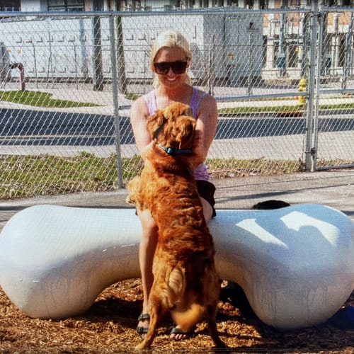 CAD Drawings BIM Models Gyms For Dogs Agility Bone