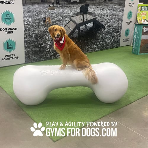 CAD Drawings BIM Models Gyms For Dogs Agility Bone
