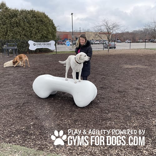 CAD Drawings BIM Models Gyms For Dogs Agility Bone