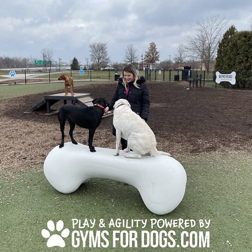 CAD Drawings BIM Models Gyms For Dogs Agility Bone