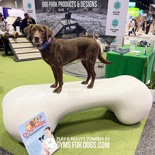 CAD Drawings BIM Models Gyms For Dogs Agility Bone