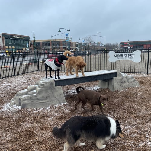 CAD Drawings Gyms For Dogs Ellie's Boulder Bridge