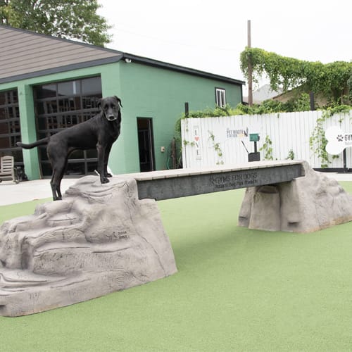 CAD Drawings Gyms For Dogs Ellie's Boulder Bridge