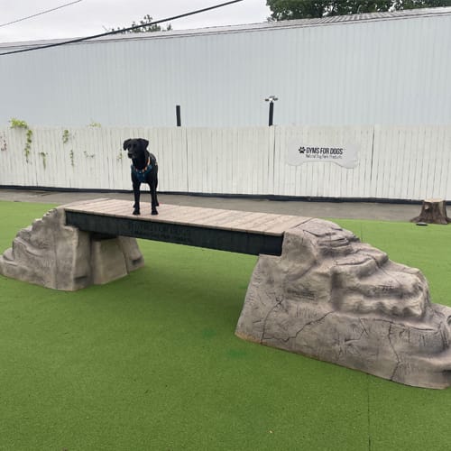 CAD Drawings Gyms For Dogs Ellie's Boulder Bridge