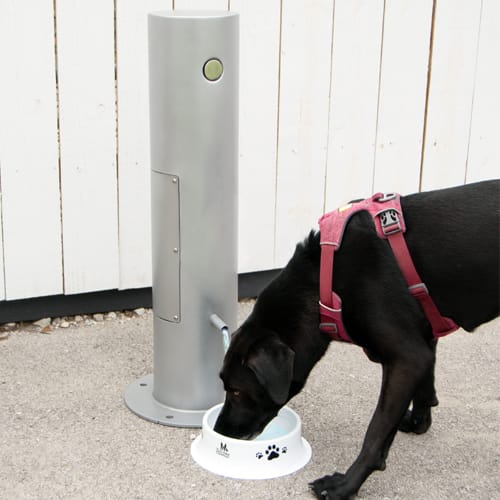 CAD Drawings Gyms For Dogs Doggie Demand Motion Activated Fountain