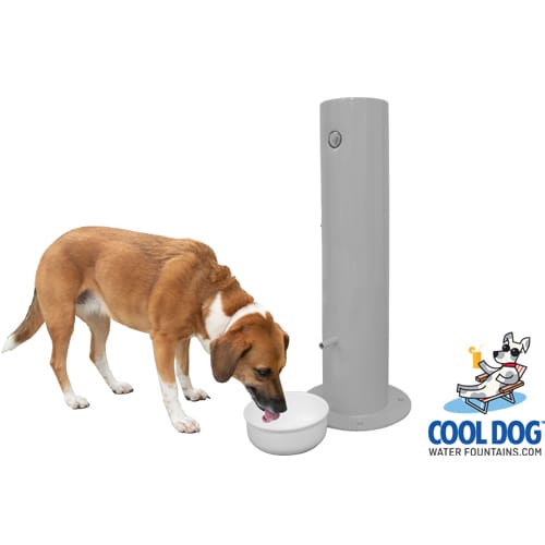 CAD Drawings Gyms For Dogs Doggie Demand Motion Activated Fountain