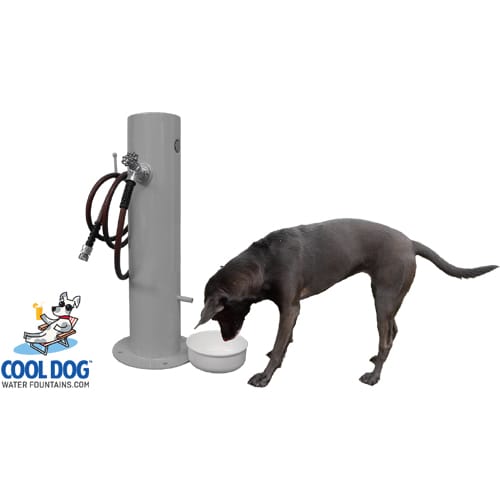 CAD Drawings Gyms For Dogs Doggie Demand Motion Activated Fountain