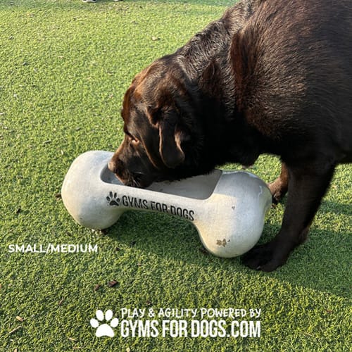 CAD Drawings Gyms For Dogs Doggie Demand Motion Activated Fountain