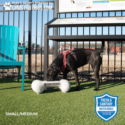 CAD Drawings Gyms For Dogs Doggie Demand Motion Activated Fountain