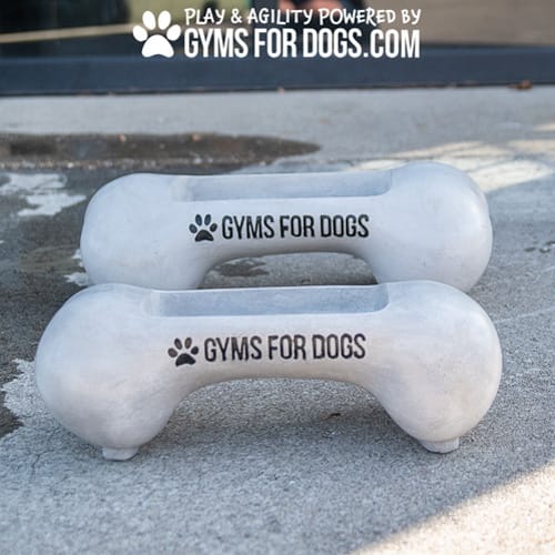 CAD Drawings Gyms For Dogs Doggie Demand Motion Activated Fountain