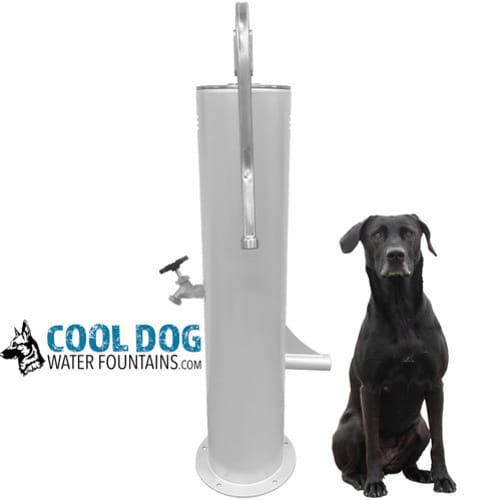CAD Drawings Gyms For Dogs Doggie Demand Motion Activated Fountain