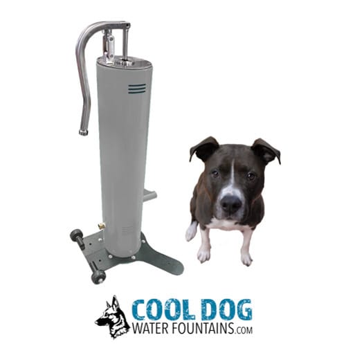 CAD Drawings Gyms For Dogs Doggie Demand Motion Activated Fountain