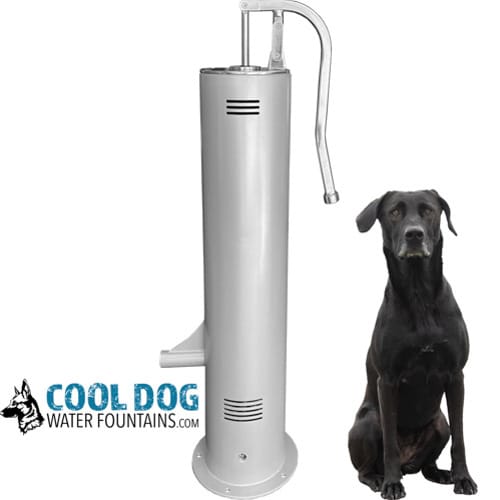 CAD Drawings Gyms For Dogs Doggie Demand Motion Activated Fountain