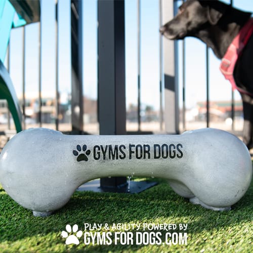 CAD Drawings Gyms For Dogs Doggie Demand Motion Activated Fountain