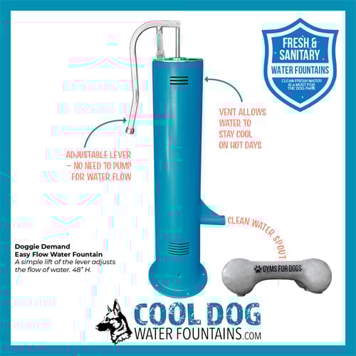 CAD Drawings Gyms For Dogs Doggie Demand Motion Activated Fountain