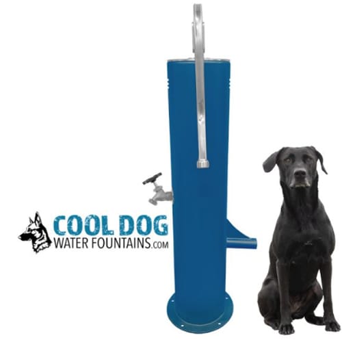 CAD Drawings Gyms For Dogs Doggie Demand Motion Activated Fountain