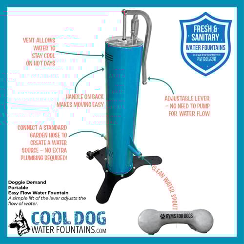 CAD Drawings Gyms For Dogs Doggie Demand Motion Activated Fountain