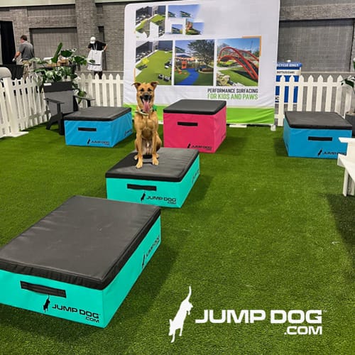 CAD Drawings Gyms For Dogs Jump Training Agility Boxes