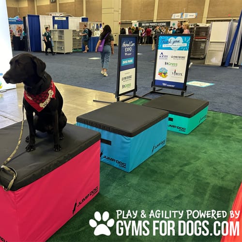 CAD Drawings Gyms For Dogs Jump Training Agility Boxes