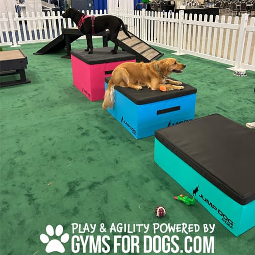 CAD Drawings Gyms For Dogs Jump Training Agility Boxes