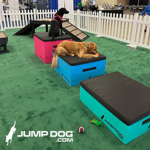 CAD Drawings Gyms For Dogs Jump Training Agility Boxes