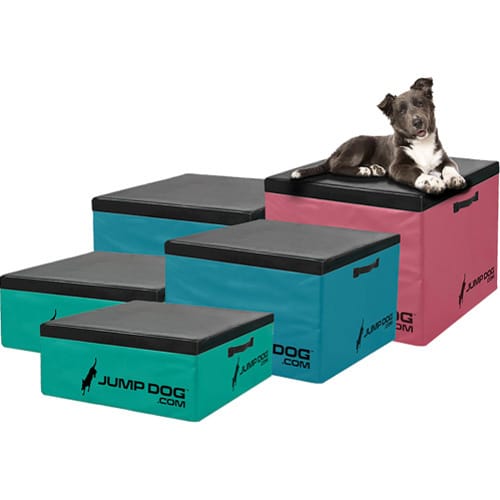 CAD Drawings Gyms For Dogs Jump Training Agility Boxes