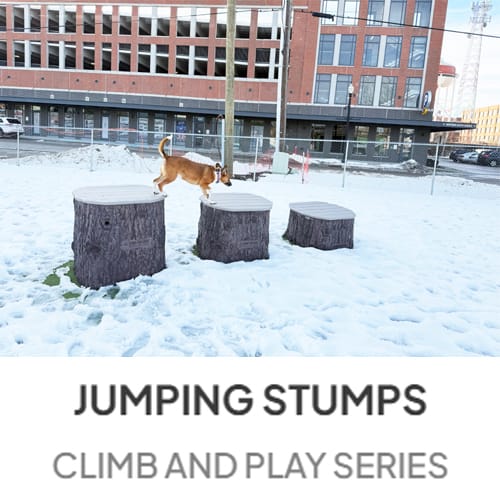 CAD Drawings Gyms For Dogs Jump Dog Jumping Stumps