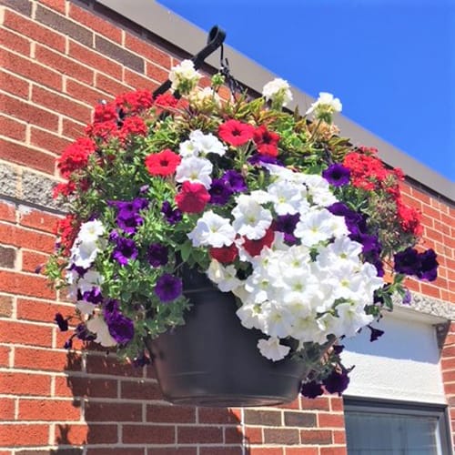 CAD Drawings BIM Models EarthPlanter Self Watering Planters Pro-Series 22 Self Watering Hanging Basket