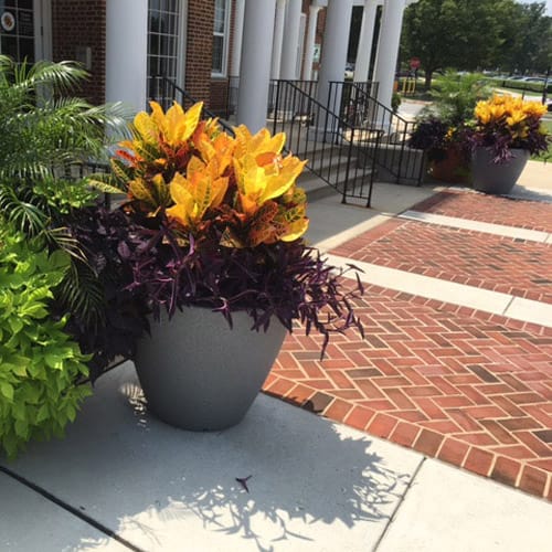 CAD Drawings BIM Models EarthPlanter Self Watering Planters Urban Vase 31
