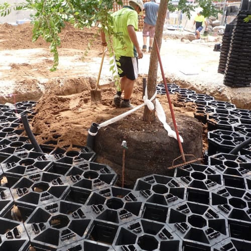 CAD Drawings Citygreen  Stratacell™ Soil Cell System