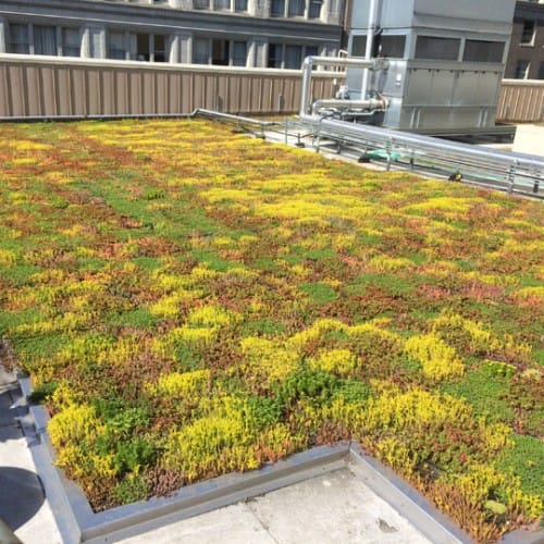 CAD Drawings Green Living Tech LLC Green Living Roof
