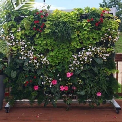 CAD Drawings Green Living Tech LLC Plug and Play Living Wall - Freestanding