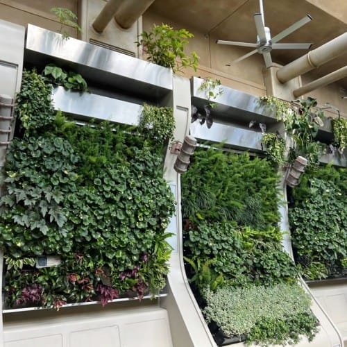 CAD Drawings BIM Models Green Living Tech LLC Plug and Play Living Wall - Wall Mounted