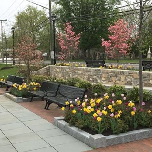 CAD Drawings Williams Stone Co Planter Curb