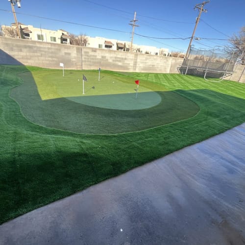 Model Turf Pet Turf Artificial Turf - Realturf - CADdetails