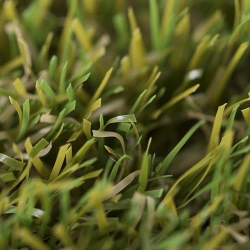 Model Turf Nylon Artificial Turf - Realturf - CADdetails