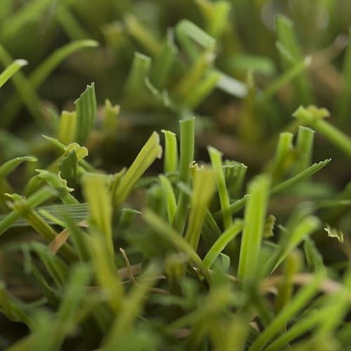Highland Artificial Turf - Realturf - CADdetails